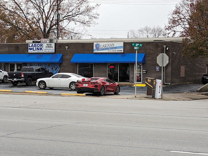 Guardian Cyber Solutions Inc.