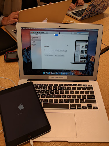 Apple Woodland
