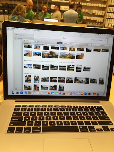 Apple SoNo Collection