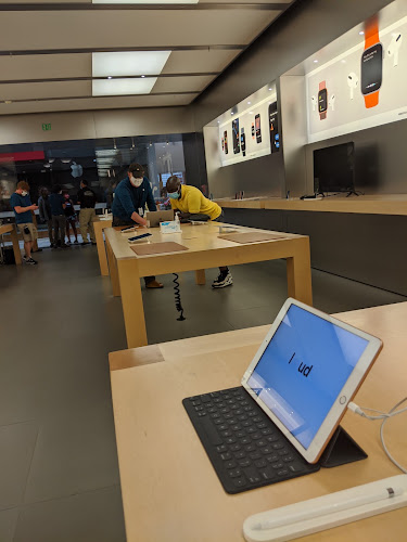 Apple Holyoke